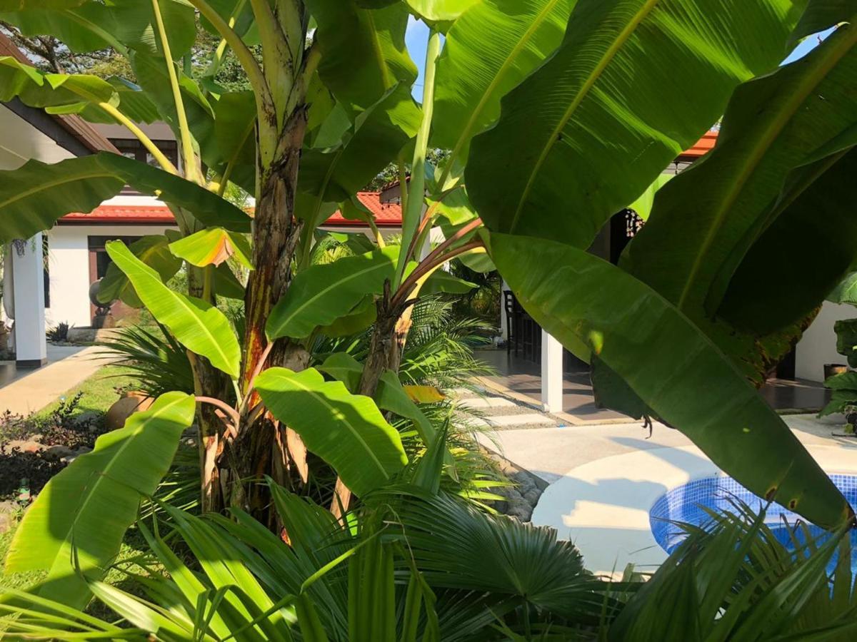 Good Life Lodge Samara Bagian luar foto