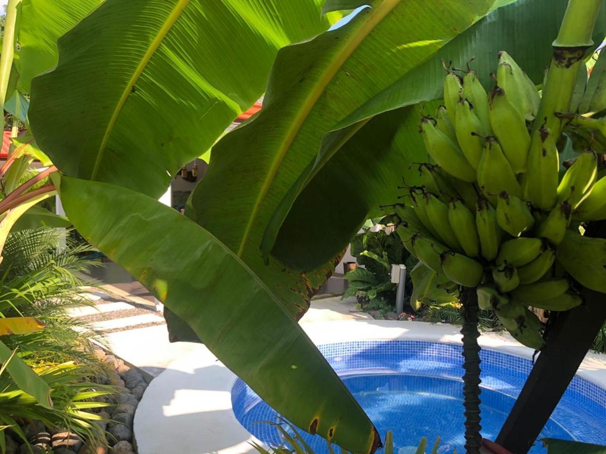 Good Life Lodge Samara Bagian luar foto